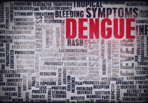 Dengue: cada um deve fazer a sua parte