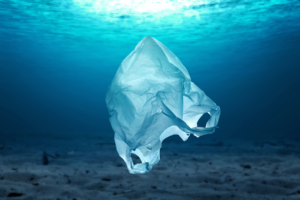 Julho sem Plástico: sustentabilidade